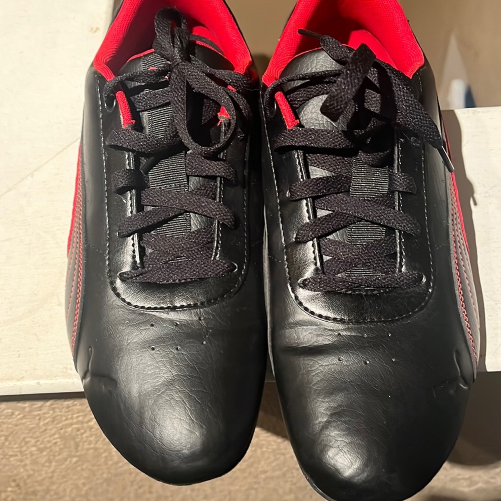 Black and Red Puma